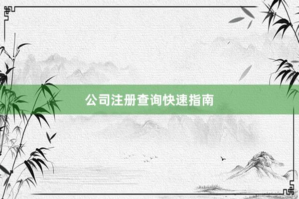 公司注册查询快速指南