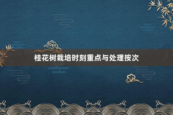 桂花树栽培时刻重点与处理按次