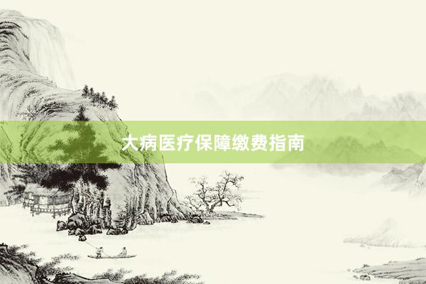 大病医疗保障缴费指南